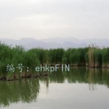 ǧ